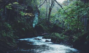 cilxarhu677 moisturizer