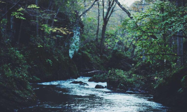 cilxarhu677 moisturizer