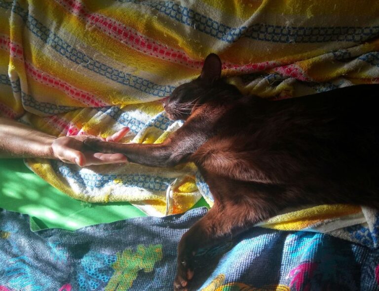 download software ustudiobytes