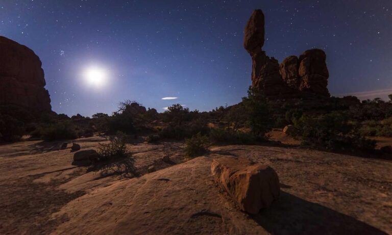 how much does the 493xds5.0 software cost