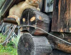 map guide ttweakmaps