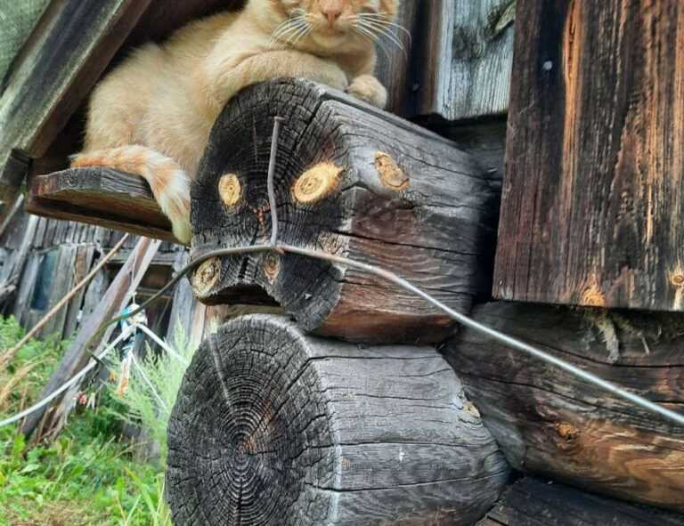 map guide ttweakmaps