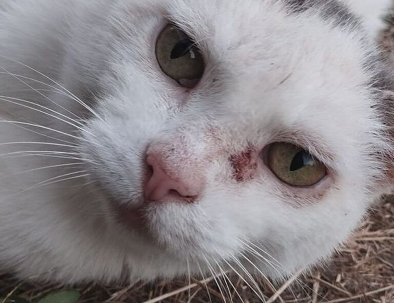 map guide ttweakmaps by traveltweaks