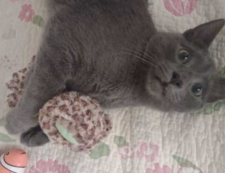 map guide ttweakmaps from traveltweaks