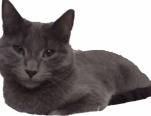 map guides ttweakmaps from traveltweaks