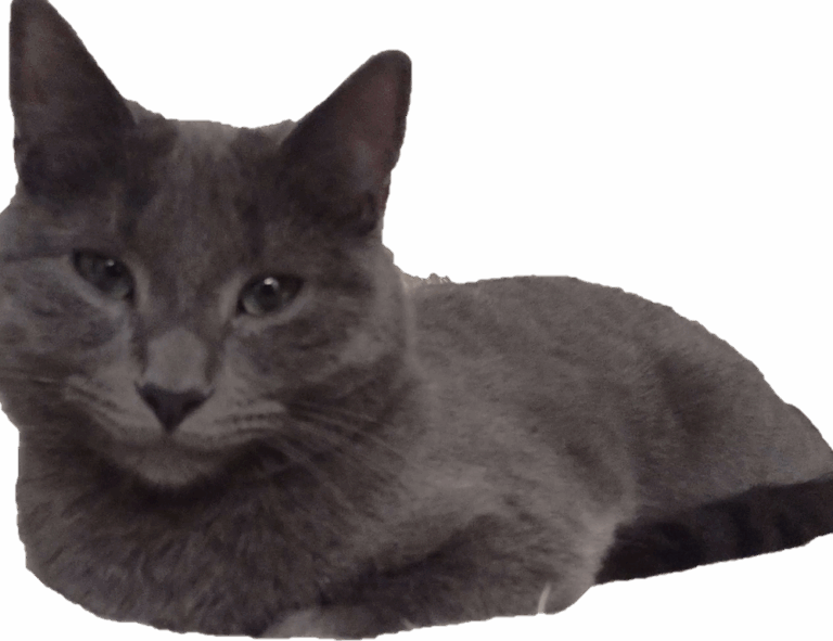 map guides ttweakmaps from traveltweaks