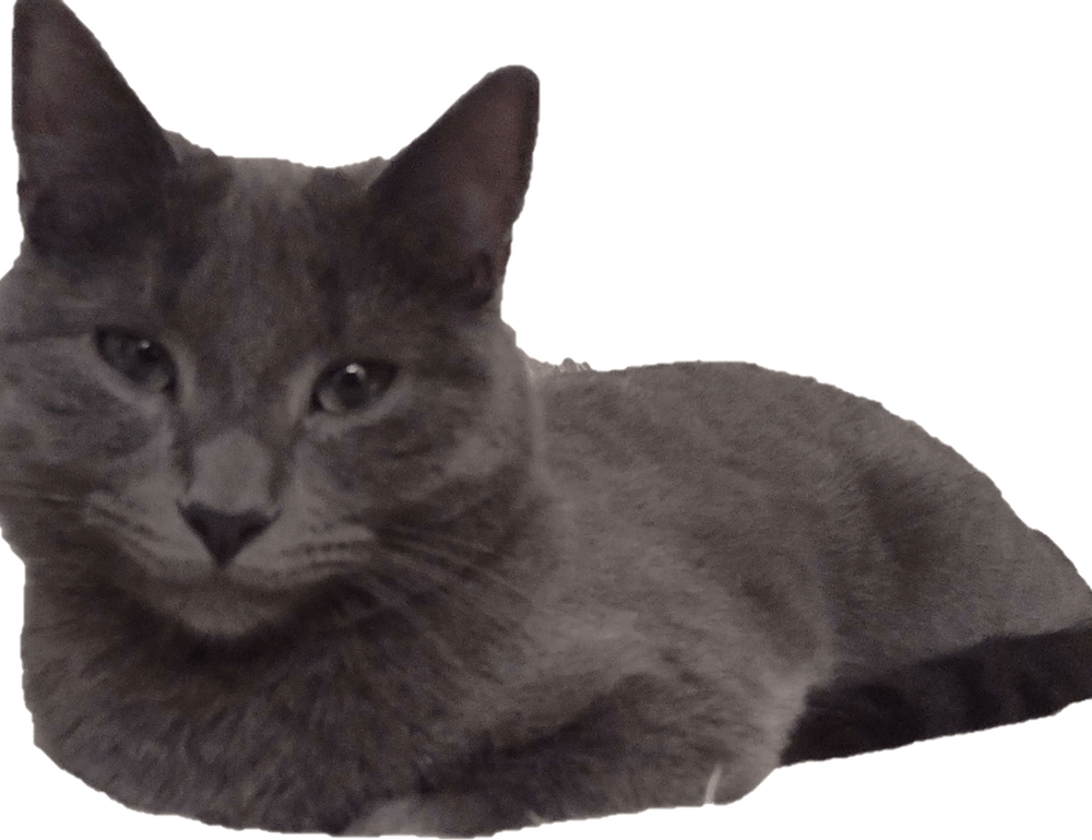 map guides ttweakmaps from traveltweaks