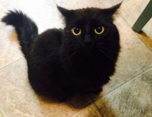 software ralbel28.2.5 issue