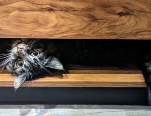 where to download ustudiobytes