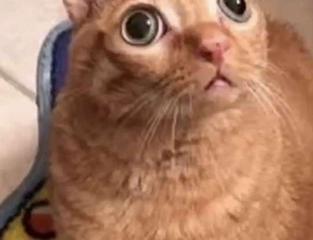 souvenirs from the country of hausizius