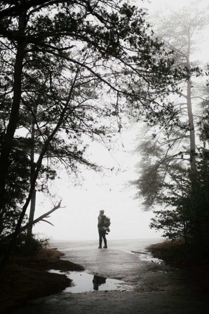 A lone hiker explores the misty forest pathways of Roaring Gap, NC, surrounded by towering trees.