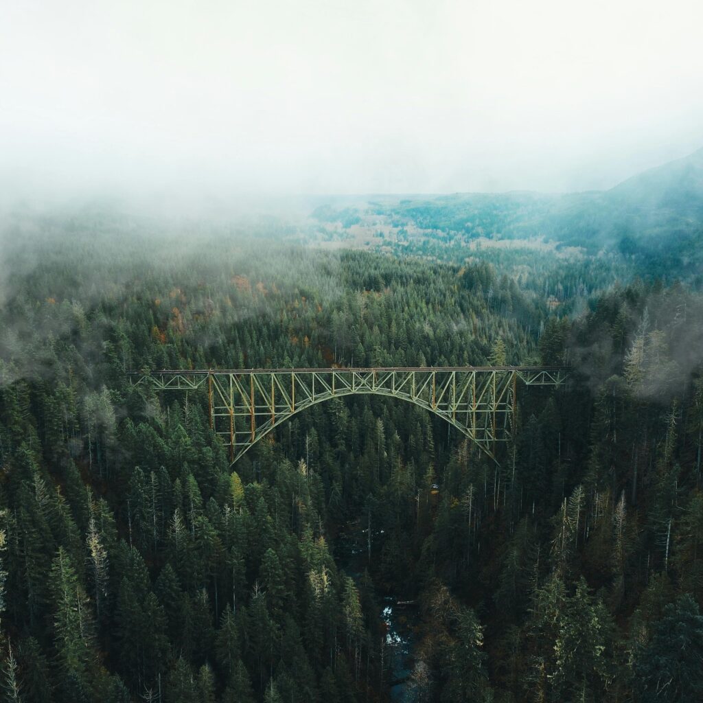 Stunning aerial shot of a bridge spanning a misty forest, showcasing nature's beauty.