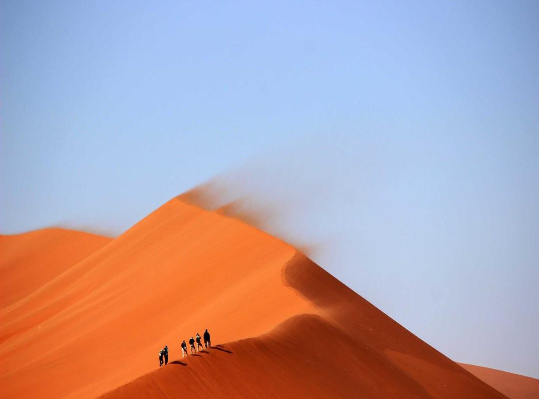 Parking Lot Pandemonium: The Wild West of Retail