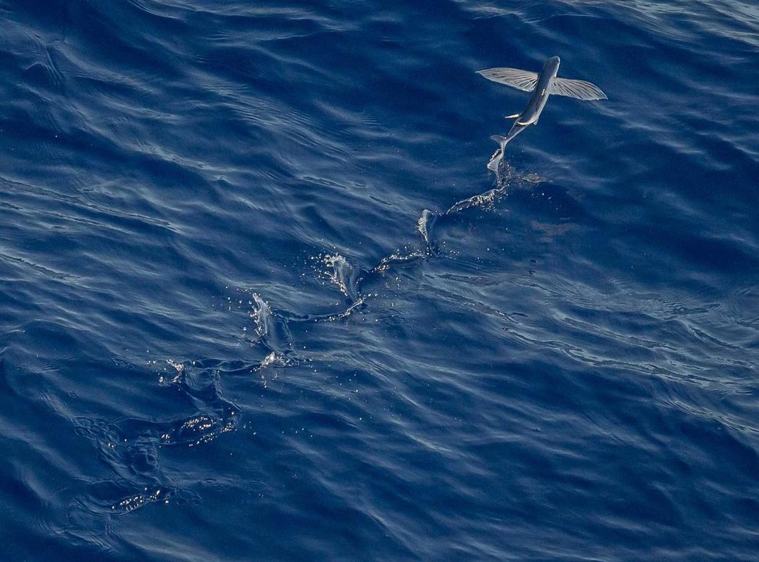 Historical Value: How Much Was 4500 UF Worth in the Past?