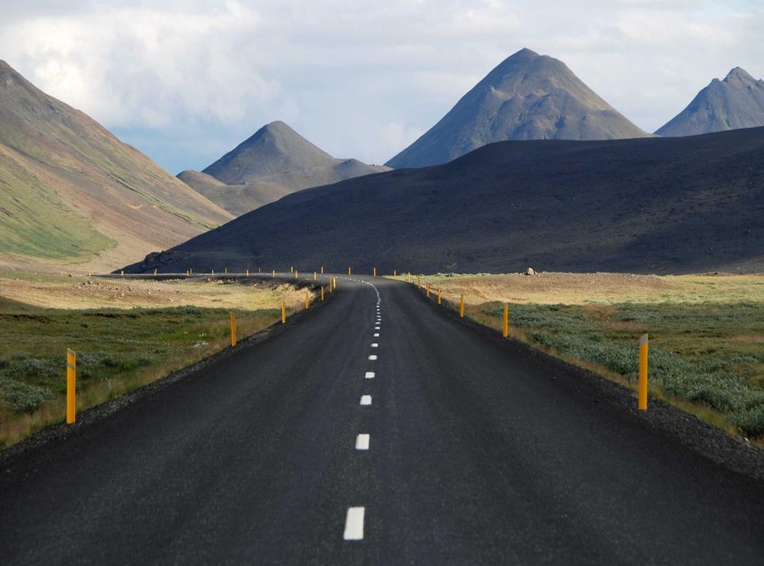 What to Order: The Must-Try Dishes and Hidden Gems