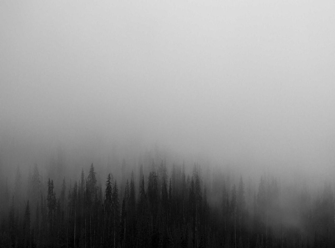 Replacing the Alternator Belt: A Step-by-Step Guide