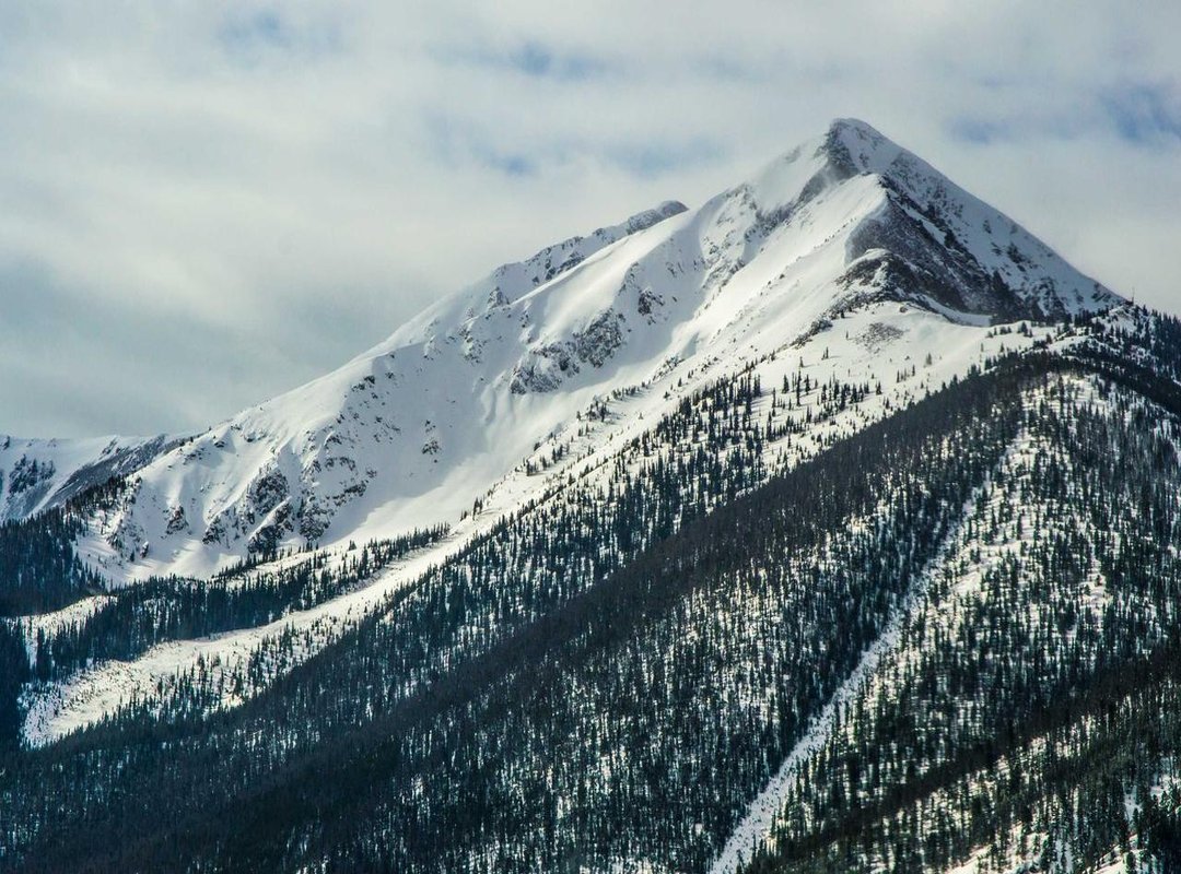 Legal and Social Differences: A Global Perspective