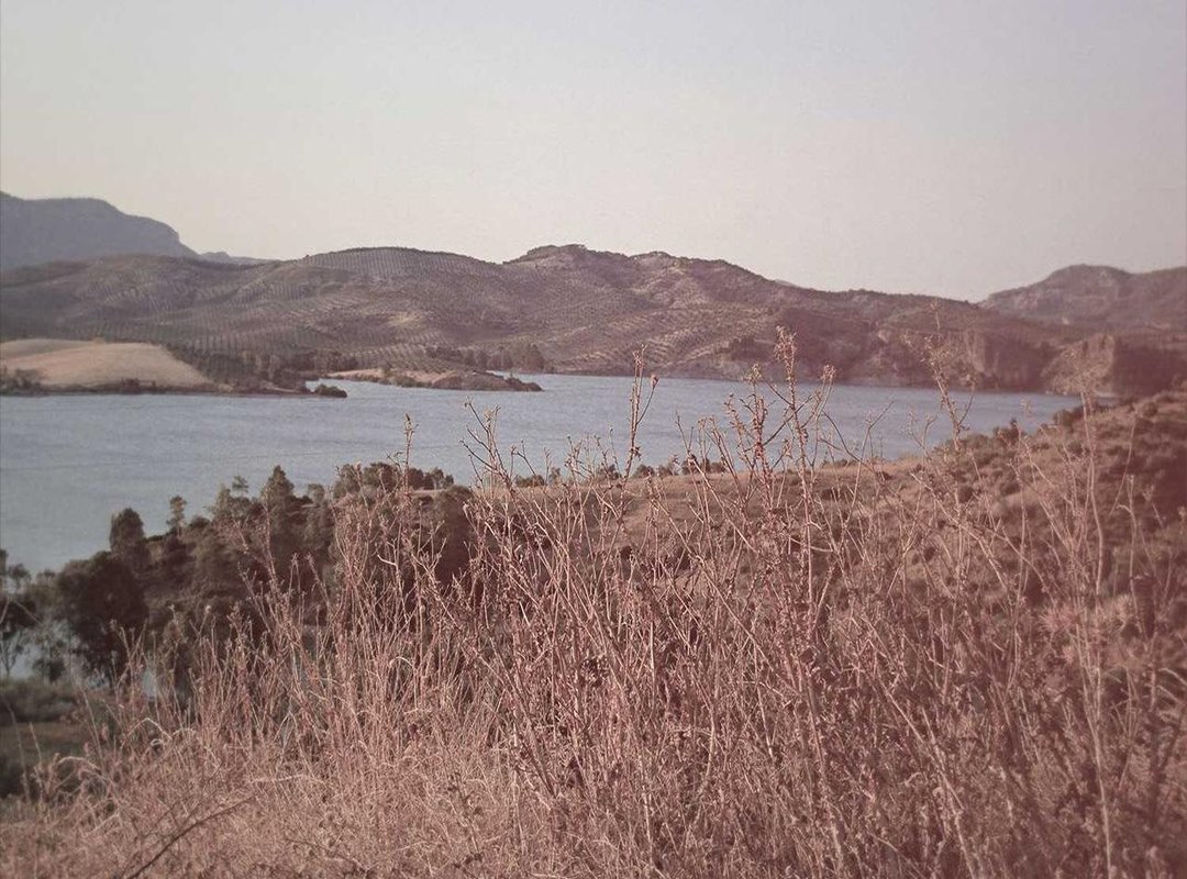 Faster and Easier: Using Digital Tools for Date Calculations