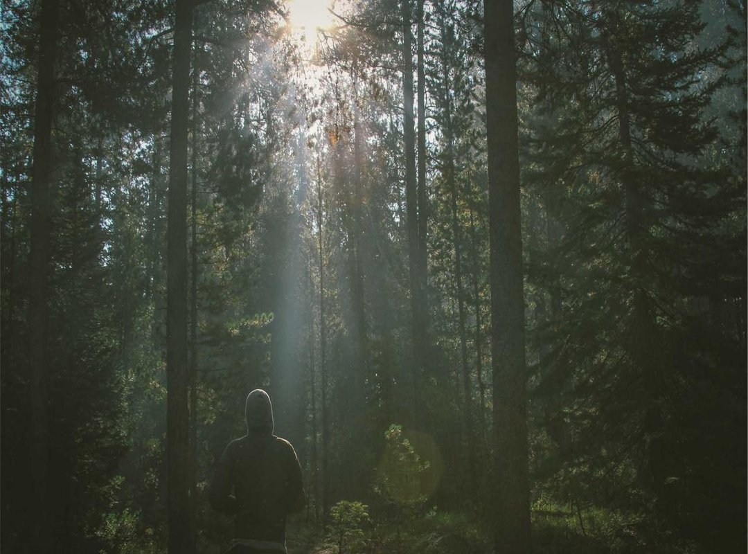 Bringing Your Character to Life: Expressions, Clothes, and Color