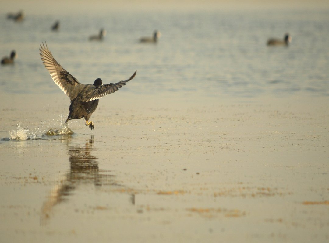 Common Misconceptions About Being a Rigger