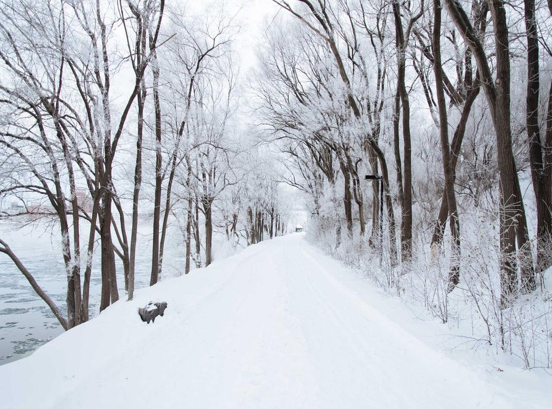 Key Spelling Differences: How the UK Version Changes the Game