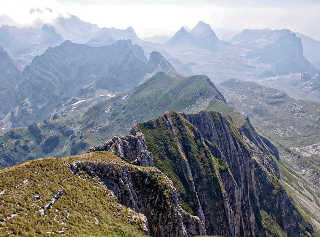 The Story Behind the Username: Why 'xreindeer'?